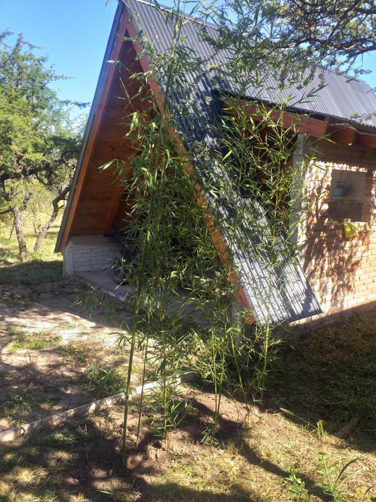La Estacion Chalet